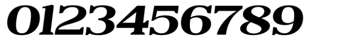 Reigans Extra Bold Expanded Slant Font OTHER CHARS