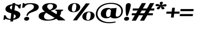 Reigans Extra Bold Expanded Slant Font OTHER CHARS