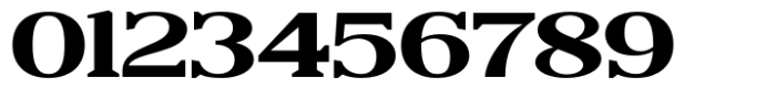 Reigans Extra Bold Expanded Font OTHER CHARS