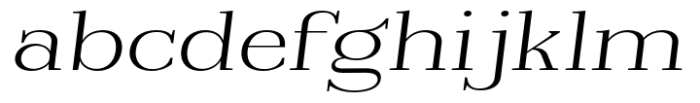 Reigans Extra Light Expanded Slant FONT