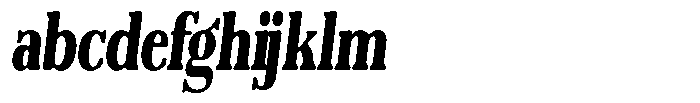 Reigans Soft Black Condensed Italic FONT