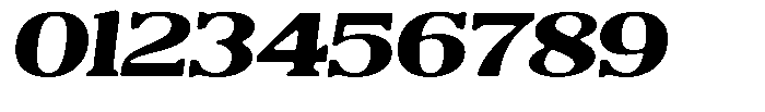 Reigans Soft Black Expanded Italic Font OTHER CHARS