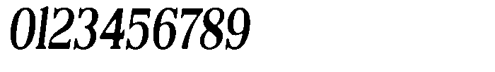Reigans Soft Bold Condensed Italic Font OTHER CHARS