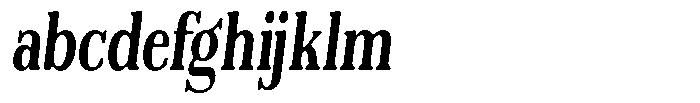 Reigans Soft Bold Condensed Italic FONT
