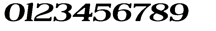 Reigans Soft Bold Expanded Italic Font OTHER CHARS