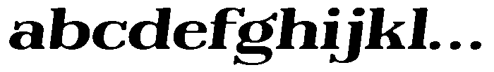 Reigans Soft Bold Expanded Italic FONT