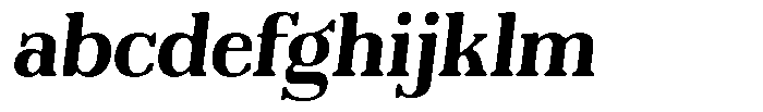 Reigans Soft Bold Italic FONT