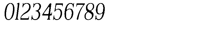 Reigans Soft Condensed Italic Font OTHER CHARS