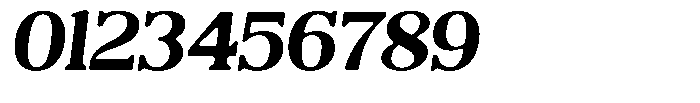 Reigans Soft Extra Bold Italic Font OTHER CHARS