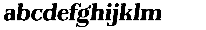Reigans Soft Extra Bold Italic FONT