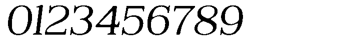 Reigans Soft Italic Font OTHER CHARS