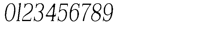Reigans Soft Light Condensed Italic Font OTHER CHARS
