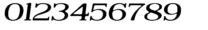 Reigans Soft Medium Expanded Italic Font OTHER CHARS