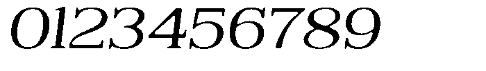Reigans Soft Semi Expanded Italic Font OTHER CHARS