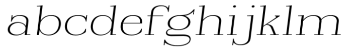 Reigans Thin Expanded Slant FONT