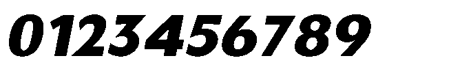 Reiner Neue Black Italic Font OTHER CHARS