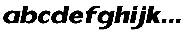 Reiner Neue Black Italic FONT