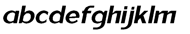 Reiner Neue Bold Italic FONT