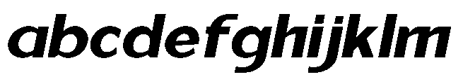 Reiner Neue Extra Bold Italic FONT
