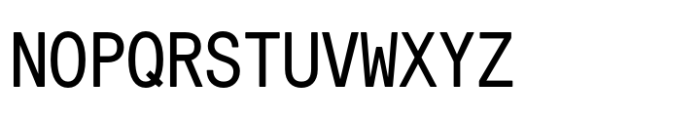 Relative Mono Pro 12 Pitch Font UPPERCASE