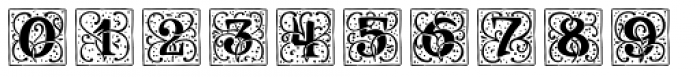 Renaissance Initial Dots White Font OTHER CHARS