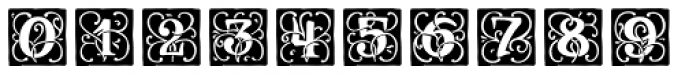 Renaissance Initial Light Black Font OTHER CHARS