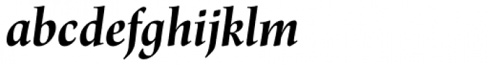 Renner Antiqua Pro Bold Italic Font LOWERCASE