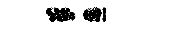 ReadyActive Bold Font OTHER CHARS