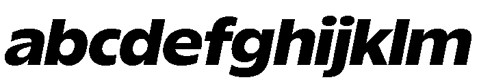 ReallySansLarge BlackItalic FONT
