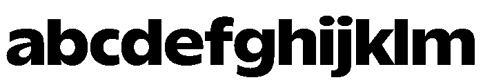 ReallySansLarge Black FONT