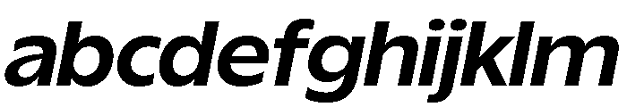ReallySansLarge BoldItalic FONT
