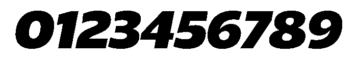 ReallySansLarge Extra BlackItalic Font OTHER CHARS