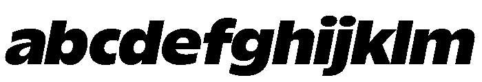 ReallySansLarge Extra BlackItalic FONT