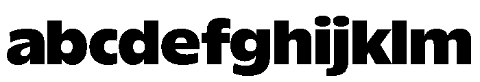 ReallySansLarge Extra Black FONT