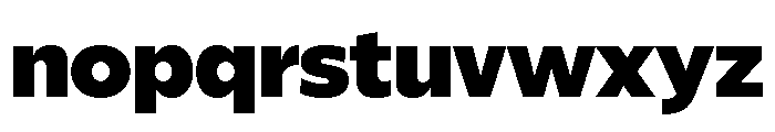ReallySansLarge Extra Black Font LOWERCASE