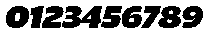 ReallySansLarge UltraItalic Font OTHER CHARS