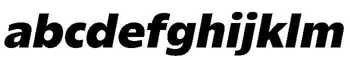 ReallySansSmall BlackItalic FONT