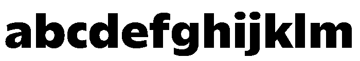 ReallySansSmall Black FONT