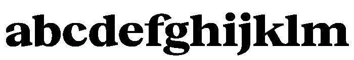 Reckless TRIAL WideMHeavy Instance FONT