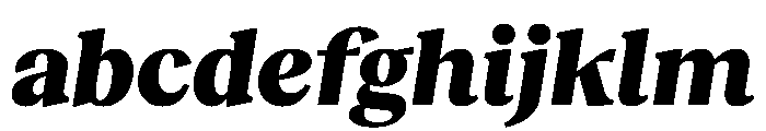 RecklessItalic TRIAL StandardMHeavyItalic Instance FONT