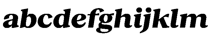 RecklessItalic TRIAL WideMHeavyItalic Instance FONT