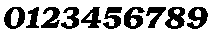 RecklessItalic TRIAL WideSHeavyItalic Instance Font OTHER CHARS