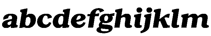 RecklessItalic TRIAL WideSHeavyItalic Instance FONT