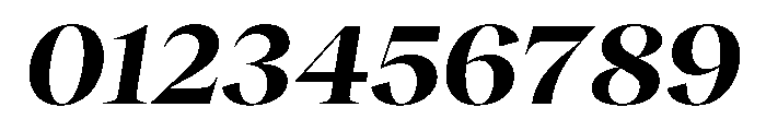 RecklessItalic TRIAL WideXLBoldItalic Instance Font OTHER CHARS