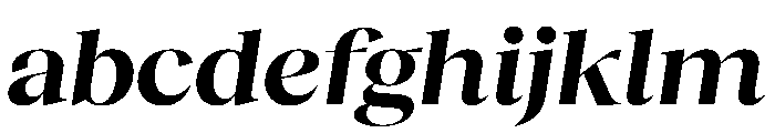 RecklessItalic TRIAL WideXLBoldItalic Instance FONT