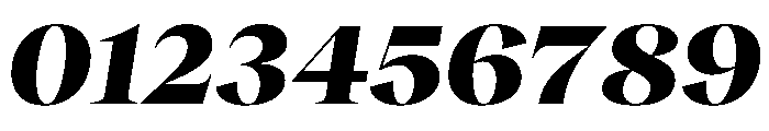 RecklessItalic TRIAL WideXLHeavyItalic Instance Font OTHER CHARS
