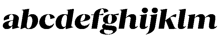 RecklessItalic TRIAL WideXLHeavyItalic Instance FONT