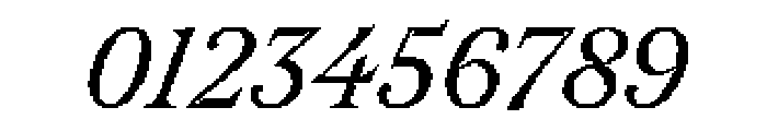 Redaction20 Italic Font OTHER CHARS