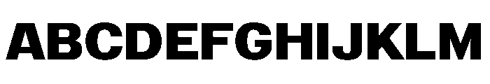 Reform Grotesk Bold Font UPPERCASE