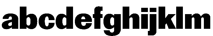 Reformationv0.1 Black FONT